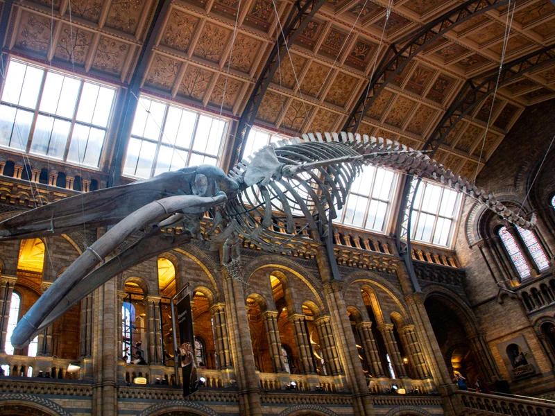 Museum view